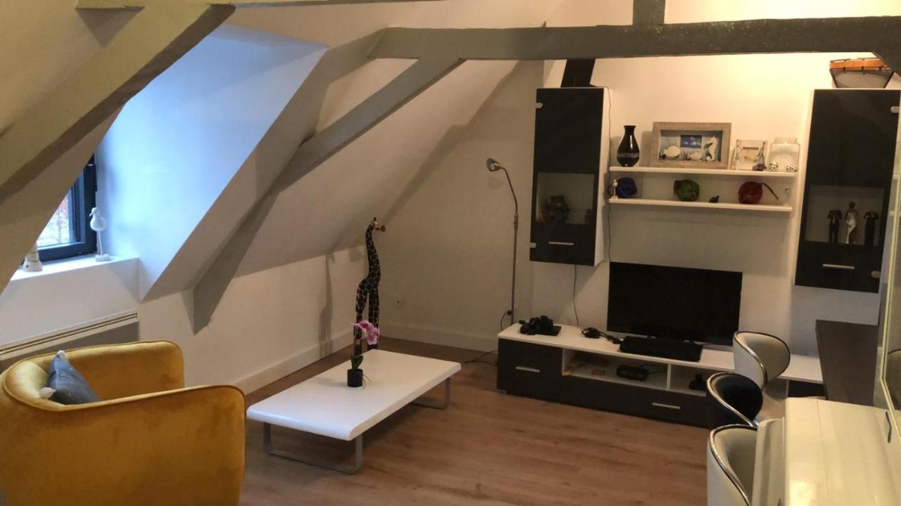 Logement Avec Deux Appartements Sur Deux Etages Wormhout Exterior photo